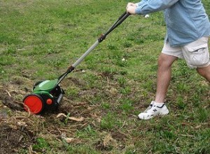 george mowing sticks george mowing sticks